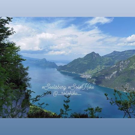 Schoene Ferienwohnung In Traumlage Fewo Solohike 塞利斯贝格 外观 照片