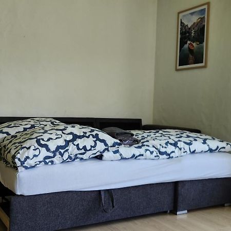 Schoene Ferienwohnung In Traumlage Fewo Solohike 塞利斯贝格 外观 照片