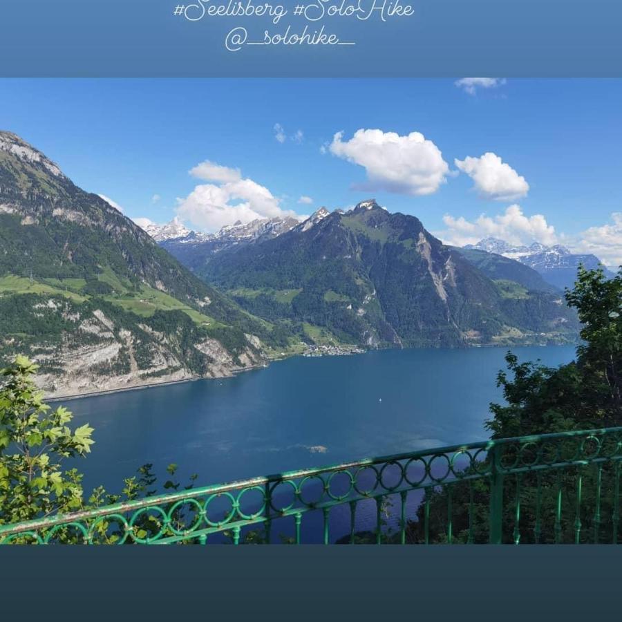 Schoene Ferienwohnung In Traumlage Fewo Solohike 塞利斯贝格 外观 照片