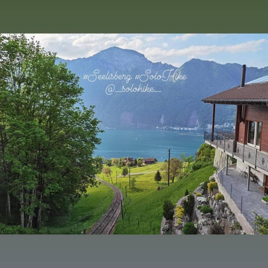 Schoene Ferienwohnung In Traumlage Fewo Solohike 塞利斯贝格 外观 照片