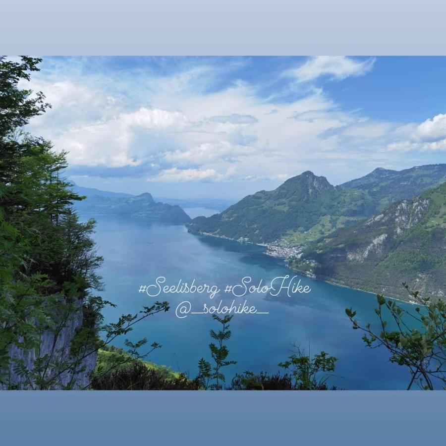 Schoene Ferienwohnung In Traumlage Fewo Solohike 塞利斯贝格 外观 照片