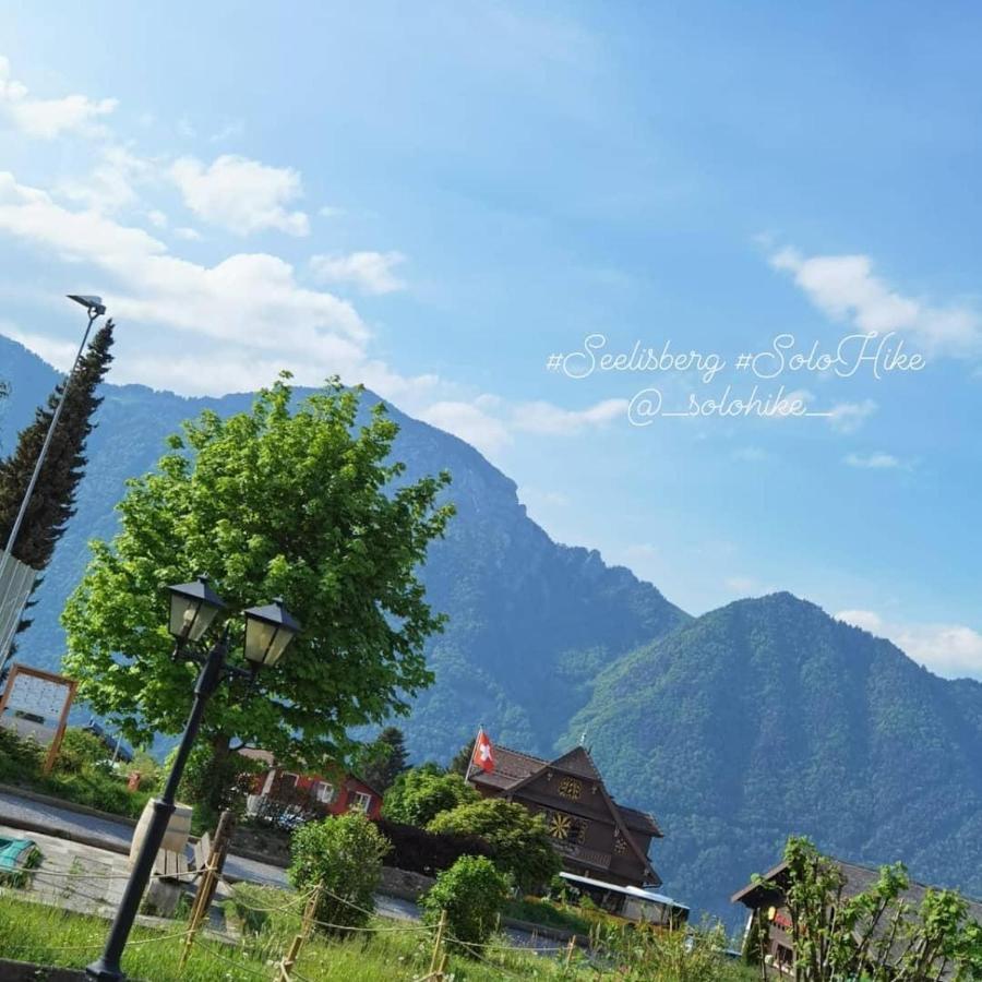 Schoene Ferienwohnung In Traumlage Fewo Solohike 塞利斯贝格 外观 照片
